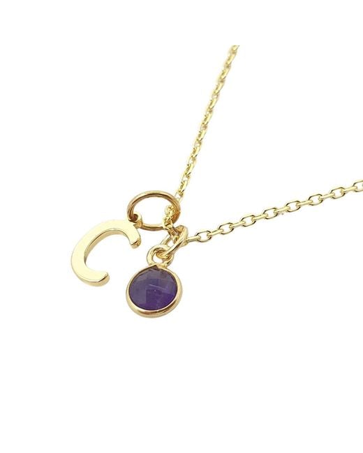 Harfi Metallic Mini Amethyst February Birthstone And Initial Plated Necklace