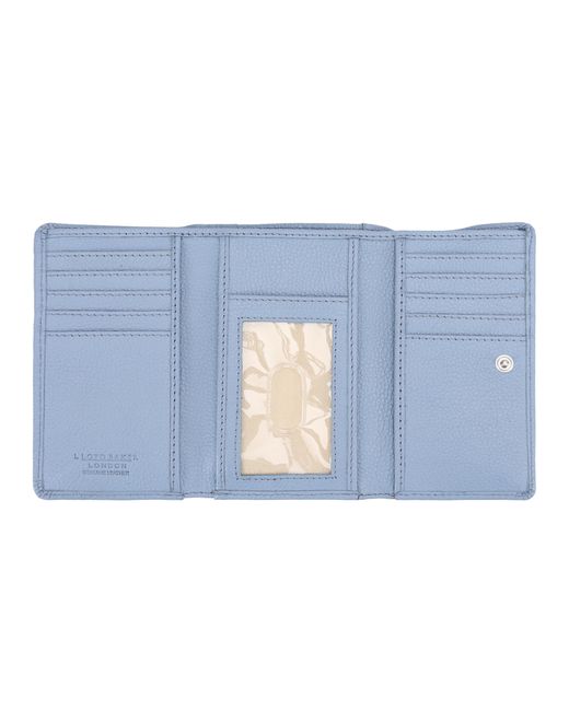 Lloyd Baker Blue Cindy