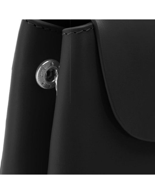 Écotorie Black Clementine