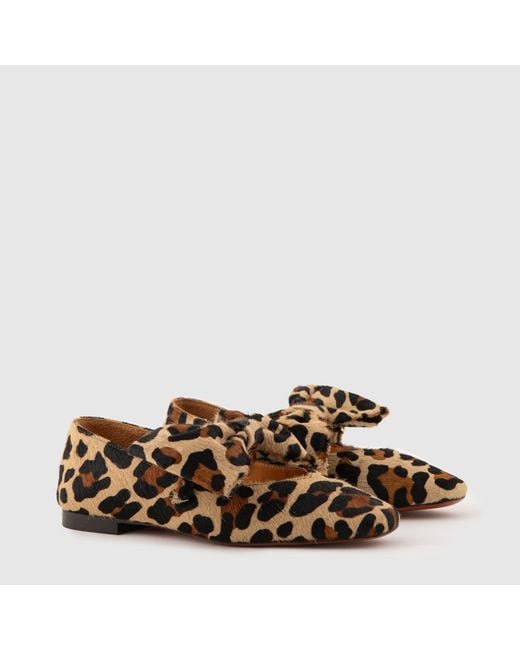 Mariano Shoes Brown Cacia Ballerina Leopard