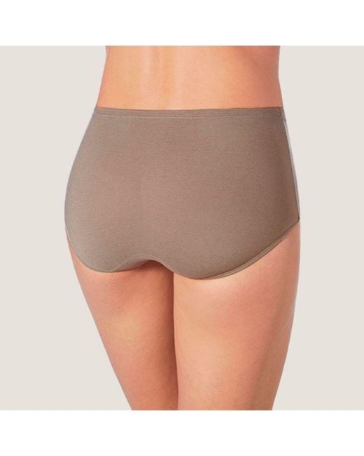 Zd - Zero Defects Gray Atenea High-Waist Brief – Stylisht Fit & Comfort With Soy Fiber