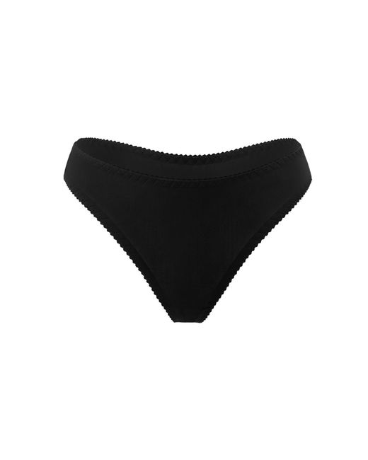 Daily Underwear Brown Neutrals Set Microfiber String Panties