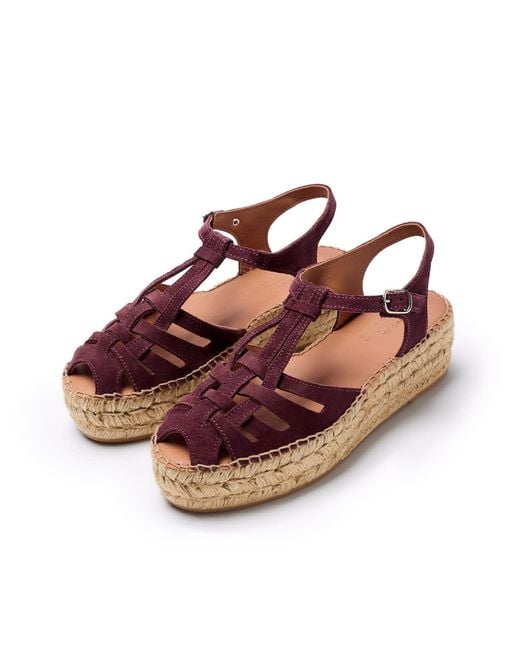 Naguisa Brown Bemol Eggplant