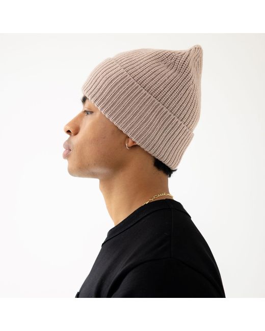 Arctic Fox & Co. Pink Neutrals The Merino Wool Beanie