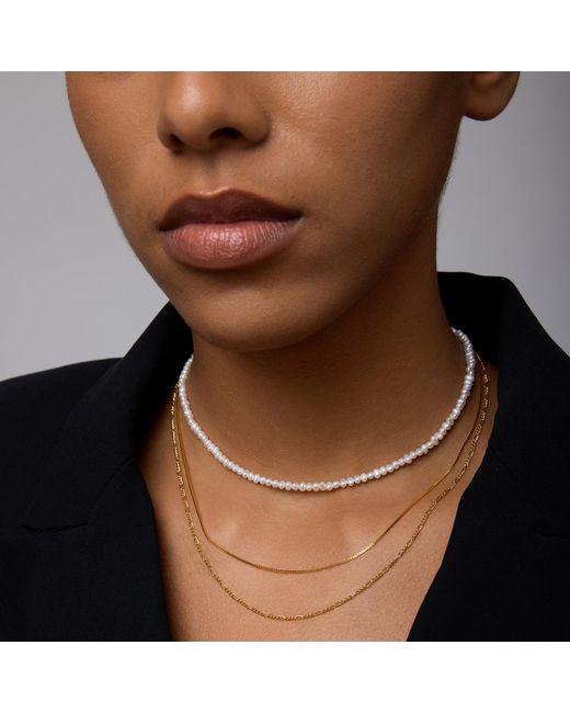 Vanhi White Celia Micro Freshwater Pearl Choker Necklace
