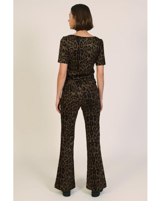 Traffic People Brown Bet Lynch Lives Leopard Print Staunch Flared Trousers