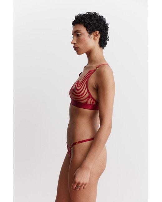 Somewhere Never Red Making Waves String