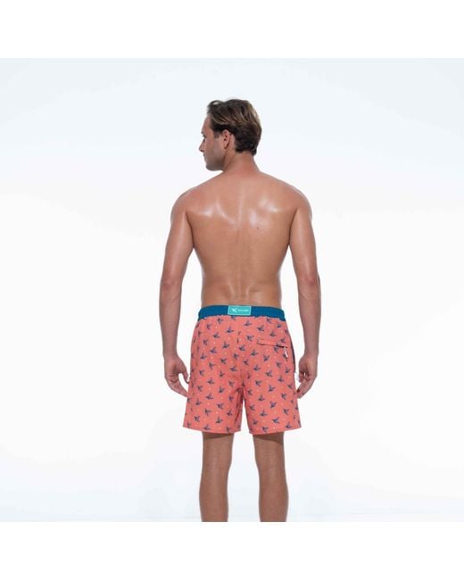 Live Kolibri Orange Luxury Swim Trunks for men