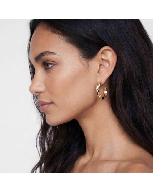 Sif Jakobs Jewellery Metallic Earrings Foglia