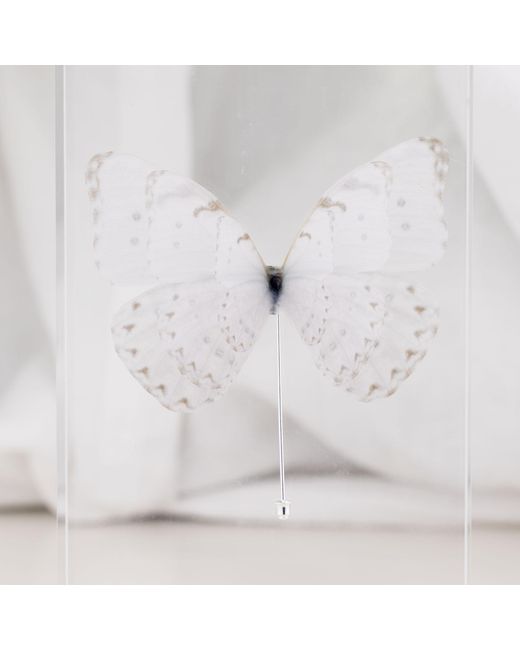 Oana Savu Pink Pin Off Silk Butterfly Brooch