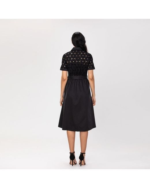 Smart and Joy Gray Lace And Cotton Shirt Dress With Belt