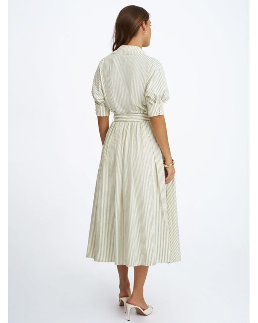 Miss Circle New York Gray Danica Pine Bamboo Poplin Striped Shirt Midi Dress