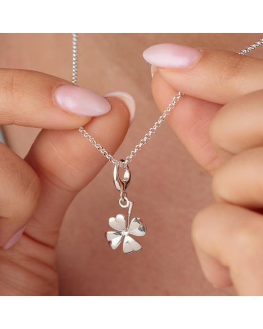 Lily Charmed Metallic Sterling Four Leaf Clover Charm Necklace