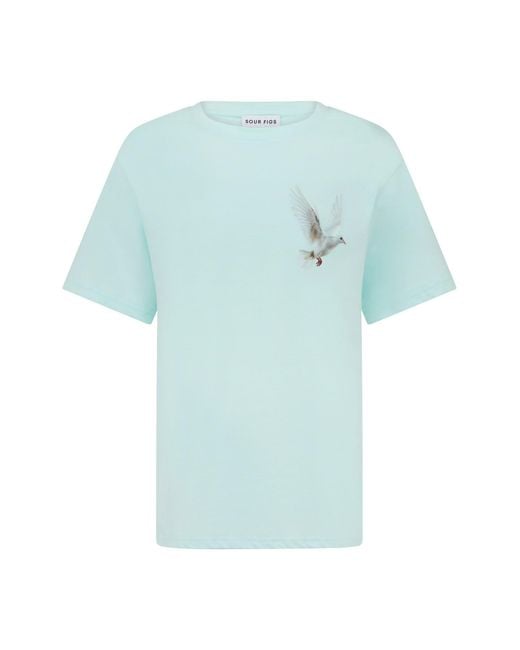 Sour Figs Blue Flying Dove Print T-Shirt