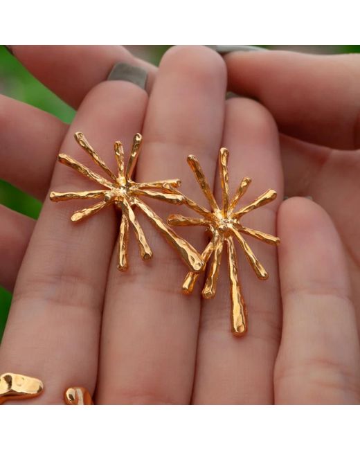 LINYA JEWELLERY Metallic Big Flow Earrings