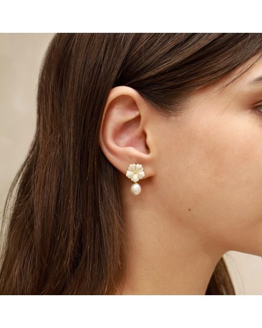 Agora Jewellery White Bavella Drop Pearl Earrings