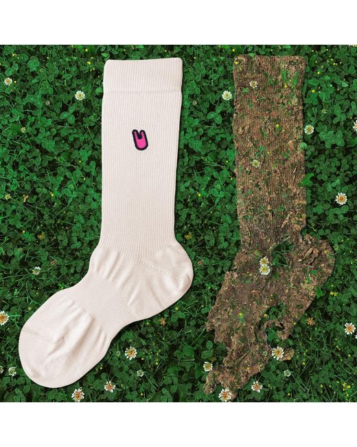 Unless Collective Pink The Zilch Socks