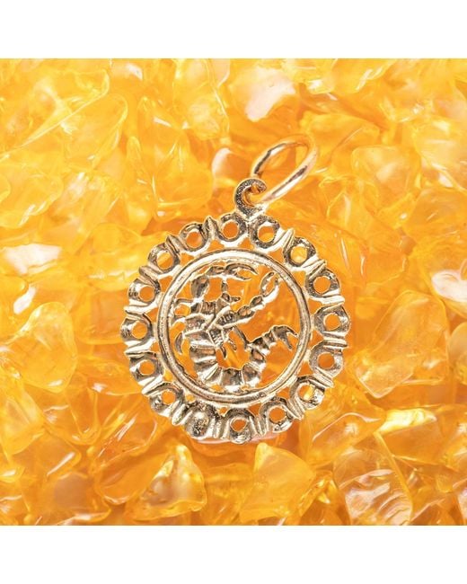 Maya Brenner Metallic Zodiac Pendant