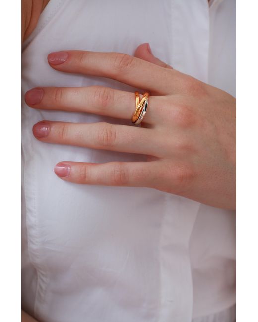 Zynnia Collective Metallic Two Tone Interlink Ring