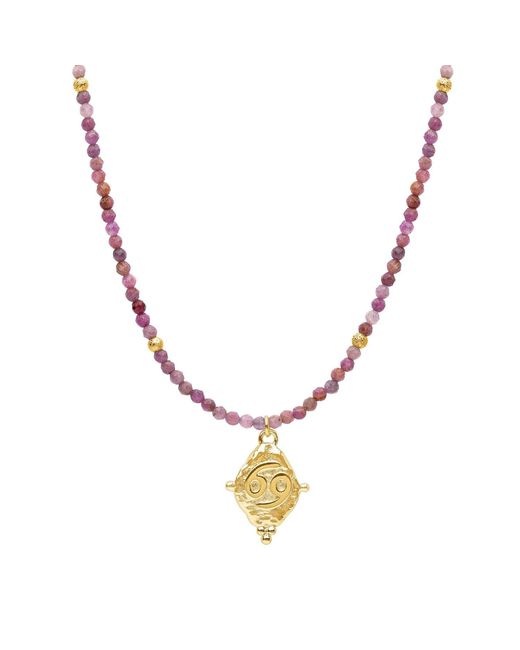 Seven Saints Metallic Cancer Gemstone Choker Necklace, Ruby, Plated