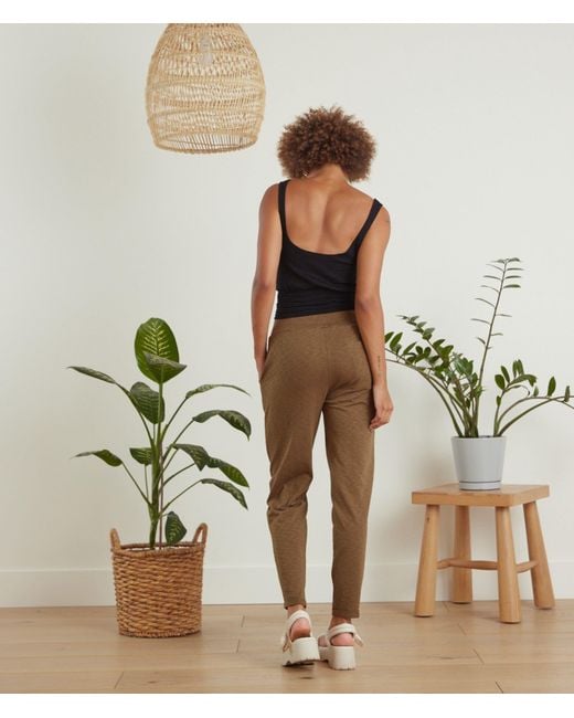 Known Supply Green Organic Cotton Mid Rise Pants