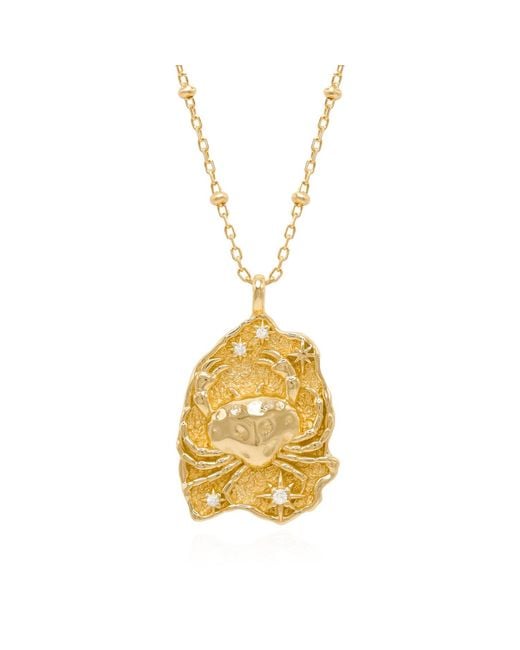 Luna Charles Metallic Solara Zodiac Necklace