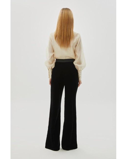 Exquise Black Bradyn Pants Straight Cut Velvet Pants