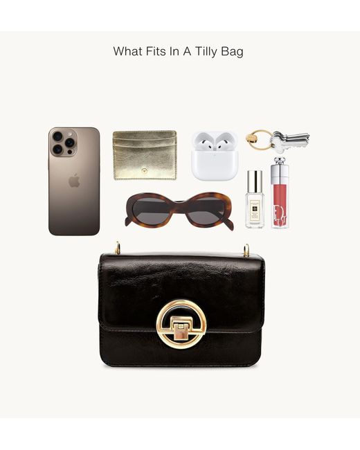 Apatchy London Black The Tilly Zebra Hair-On Leather Bag