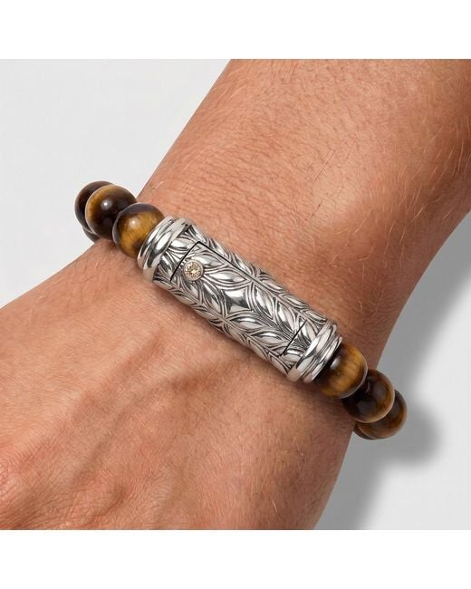 Daneila Léon Brown Persian Shield Tiger Eye & Natural Diamond Bracelet for men