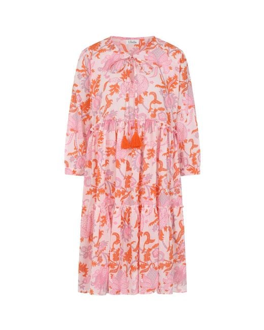 Luella Fashion Pink Jambi Cotton Dress Printed Pattern