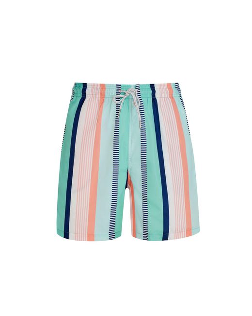 Robert & Son Blue Multistripe Swim Shorts for men