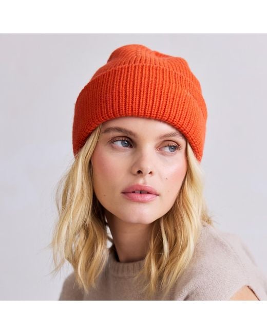 Arctic Fox & Co. Embroidered Merino Wool Beanie