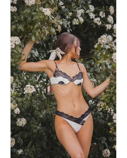 Wild Lovers Black Esme Brief