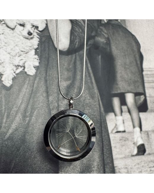 My Little Nature Metallic Neutrals Handcrafted Designer Necklace With Natural Dandelion Seeds