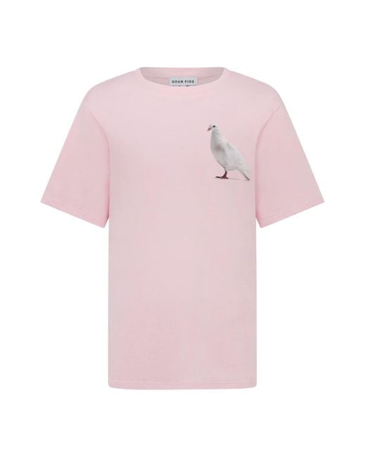 Sour Figs Pink Standing Dove T-Shirt for men