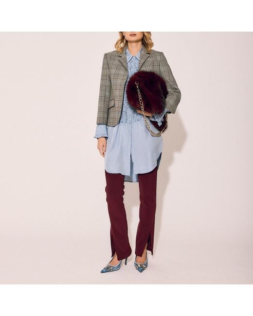 Lindsay Nicholas New York Brown Ally Pant