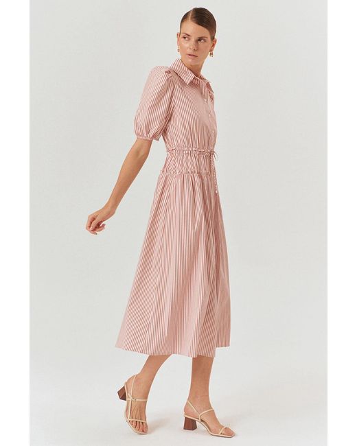 Exquise Pink Legacy Midi Dress –
