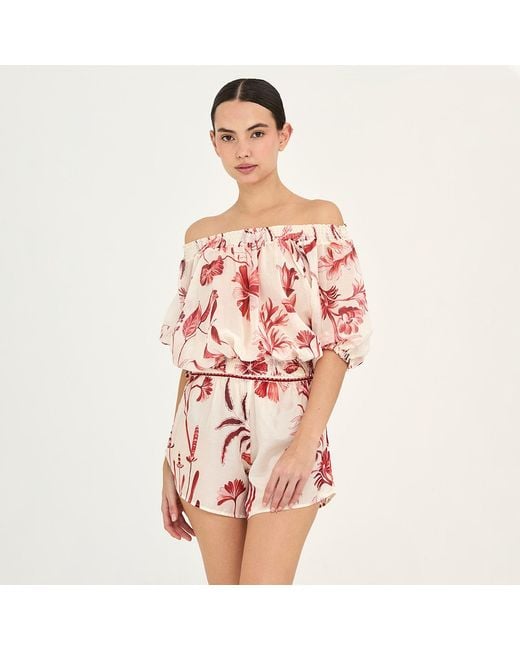 Aguaclara Pink Rouge Crop Top