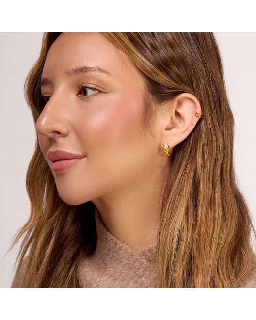 Dower & Hall Metallic Wide Twist Huggie Hoops