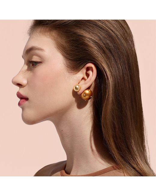 Saule Label Metallic Lilou Earrings