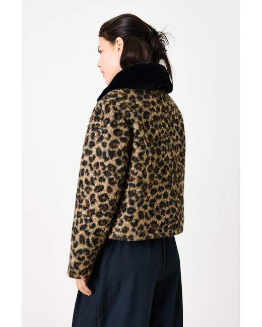 Louche Black Apple Animal Teddy Faux Fur Collar Jacket