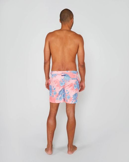 Lords of Harlech Pink Pool Mumms Dream Swim Short for men