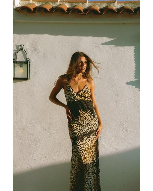 Wild Lovers Brown Honeycomb Dress