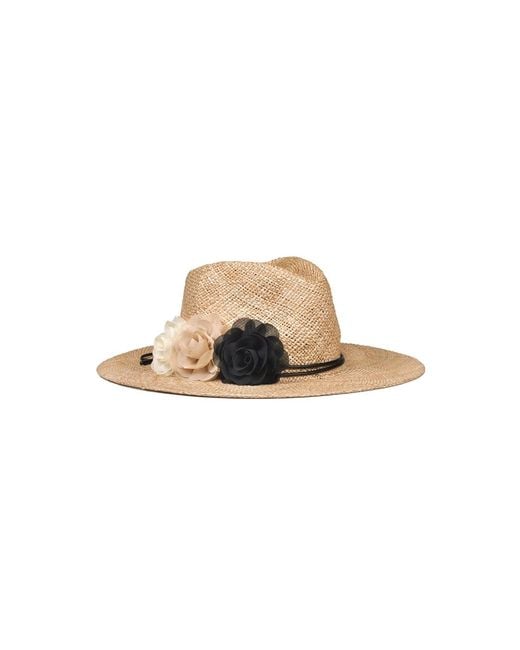 Le Trap Multicolor Neutrals Nice Hat