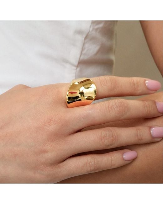 Argento Vivo Metallic The Vita Ring