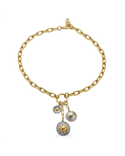 Loni Paul Jewelry Metallic Mixed Metal Charm Cluster Necklace