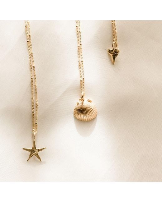 Dainty London Metallic Solid Seashell Necklace