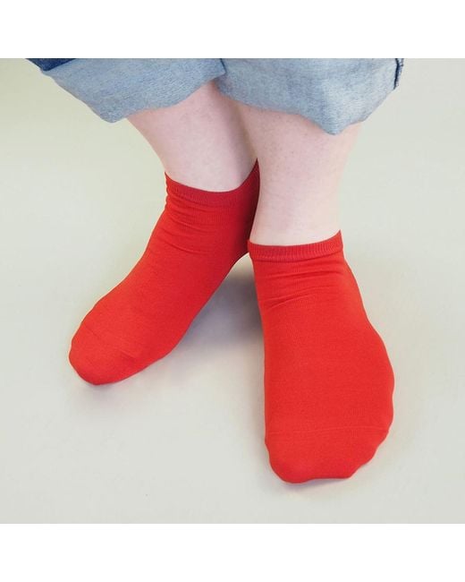 Peper Harow - Made in England Red Classic Luxury Crew & Trainer Socks Bundle for men