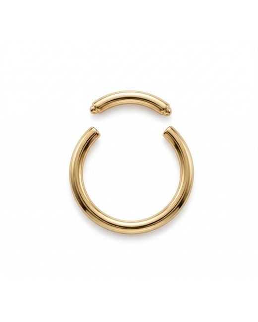 Zahav Jewelry Metallic 14K Solid Captive Segment Clicker Hoop