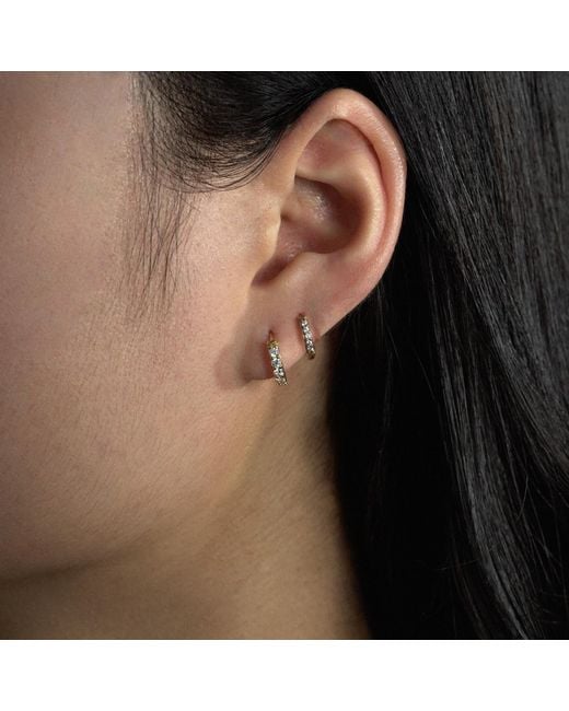 Diamonbliss Metallic Pave Hoop Earrings, Thirdteen Millimeter, Platinum